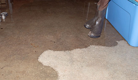Slab Leak Detection & Repair